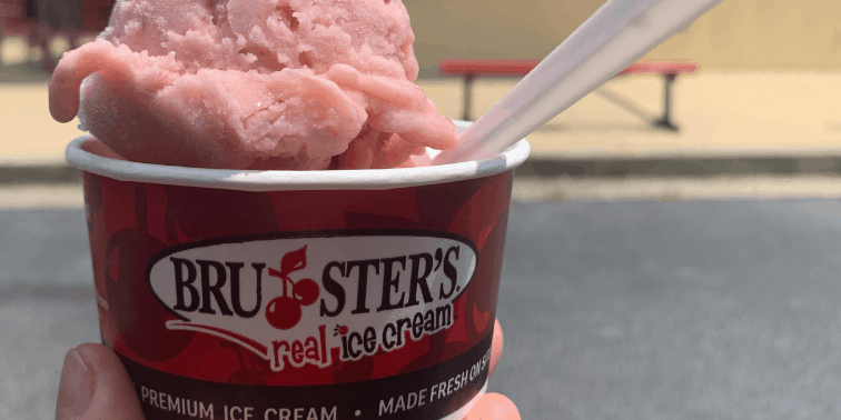 Bruster's Strawberry Banana Ice Cream