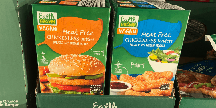 Earth Grown Meat Free Chickenless Patties