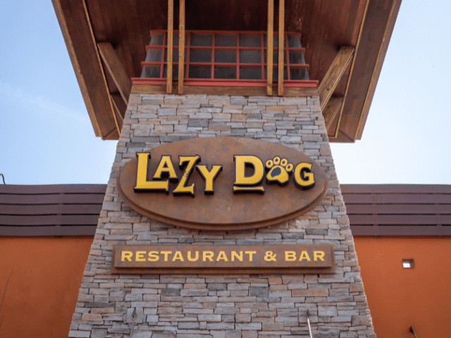Lazy Dog Restaurant and Bar