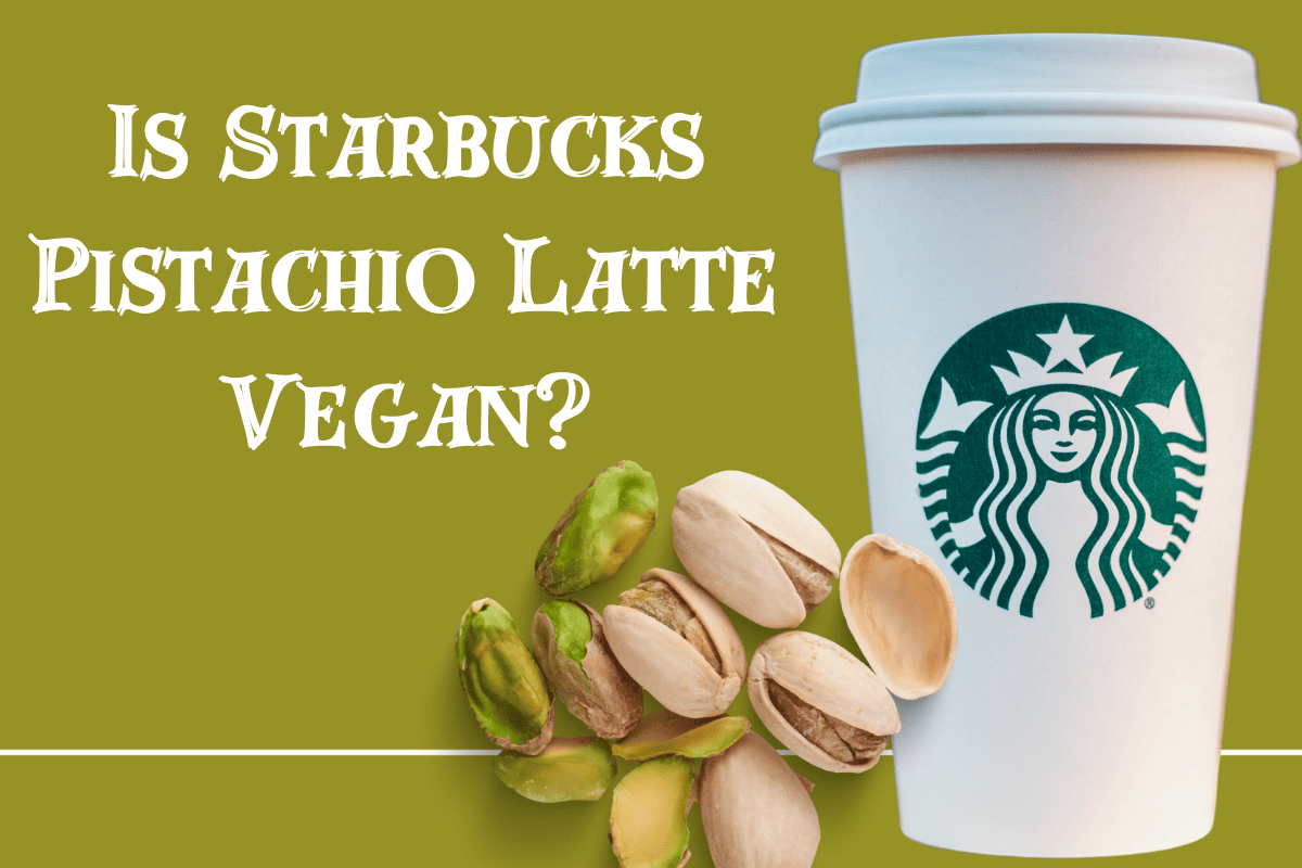 Vegan Options at Starbucks